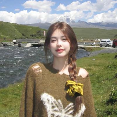 布莱德·彼特之再见艳阳天