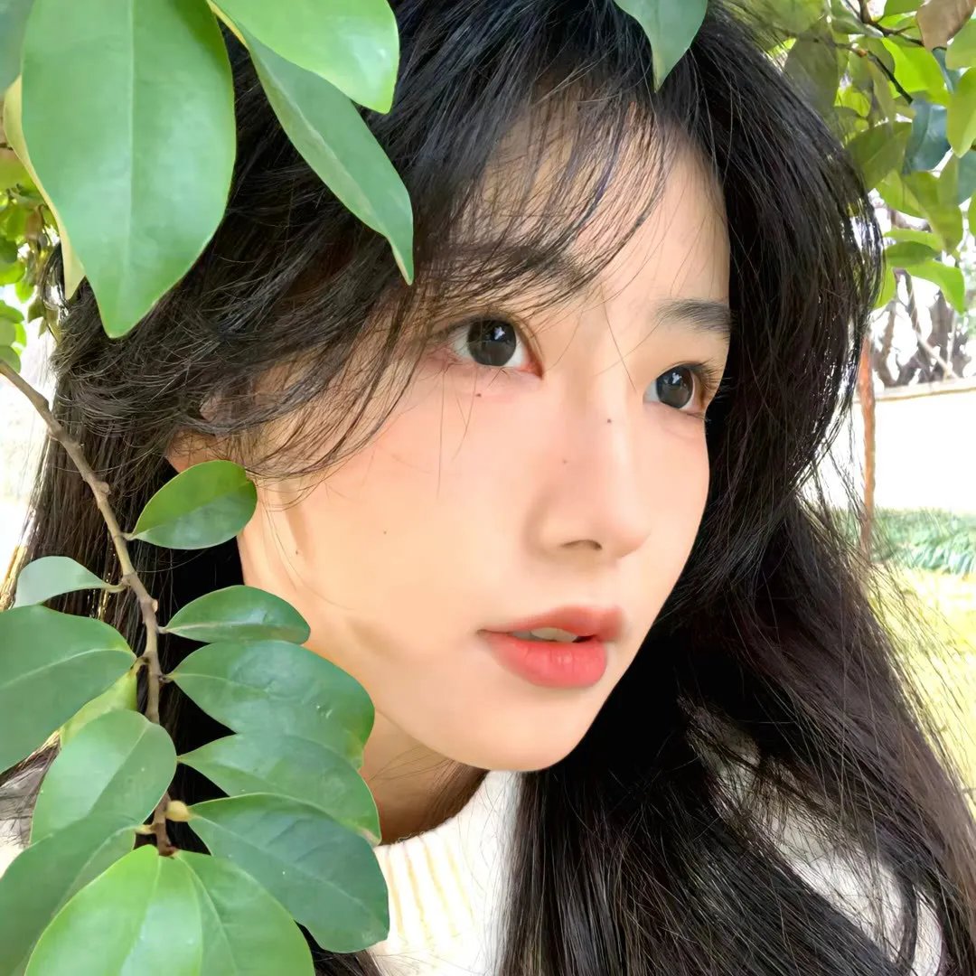 铁耙